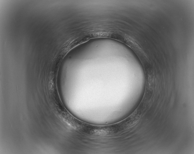 X0000060770259200512011620