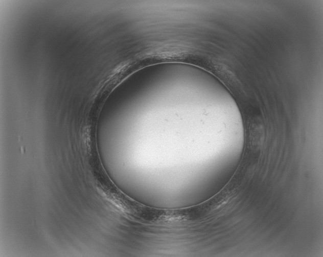 X0000060770260200512011620