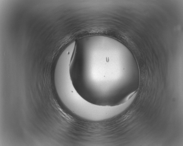 X0000060770261200512011620