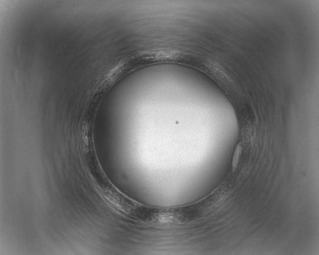 X0000060770264200512011620