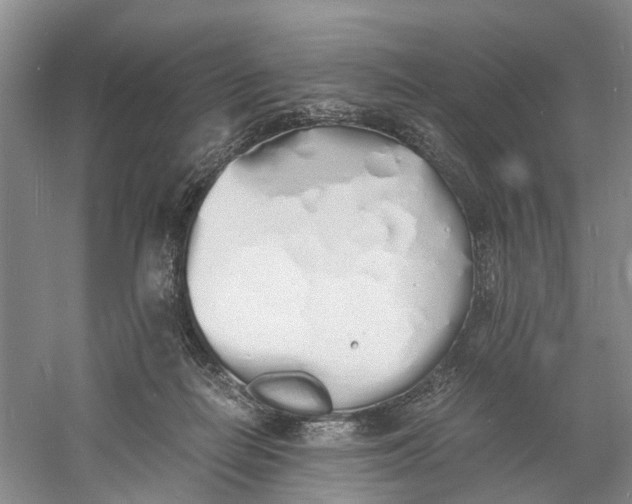 X0000060770266200512011620