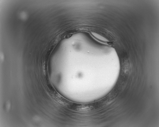 X0000060770267200512011620