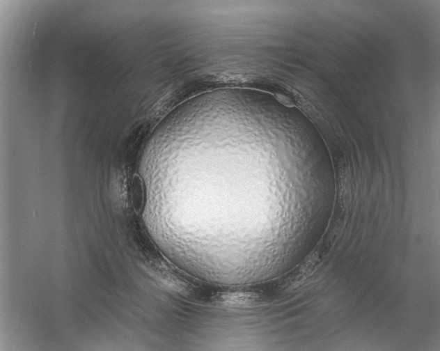 X0000060770268200512011620