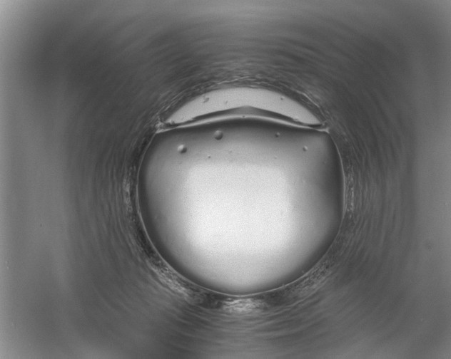 X0000060770269200512011620