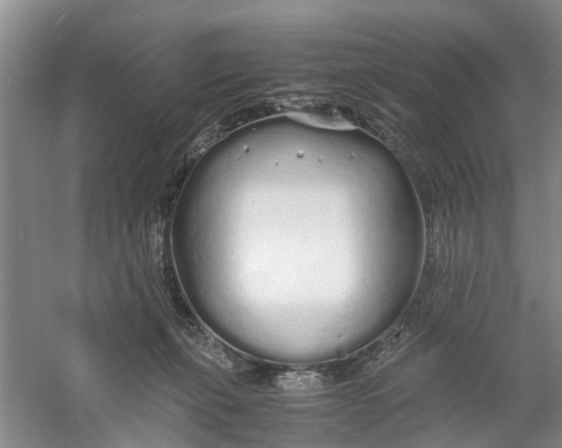 X0000060770271200512011620