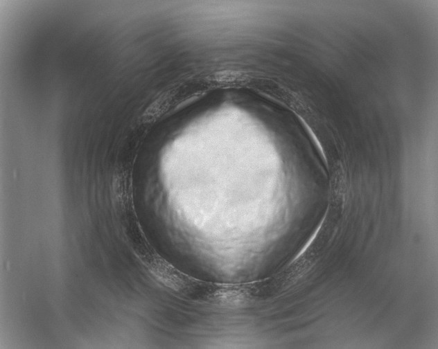 X0000060770272200512011620