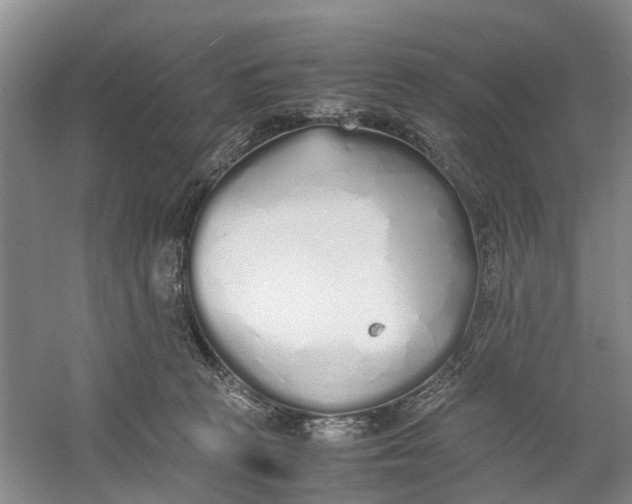 X0000060770273200512011620