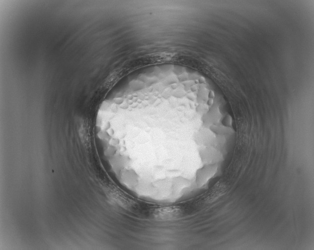 X0000060770274200512011620