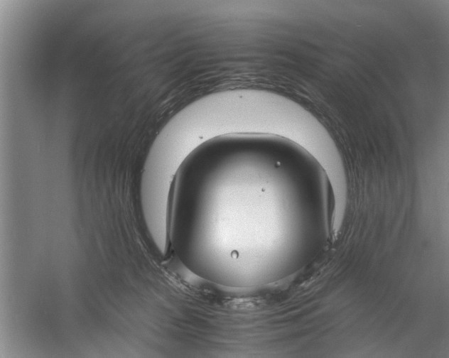 X0000060770277200512011620