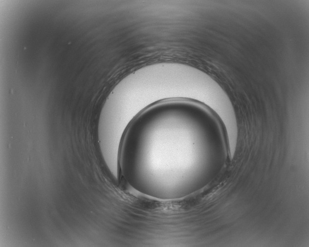 X0000060770278200512011620