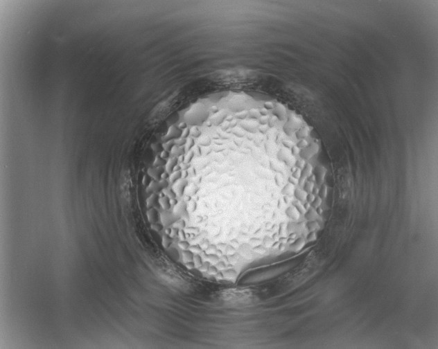 X0000060770279200512011620