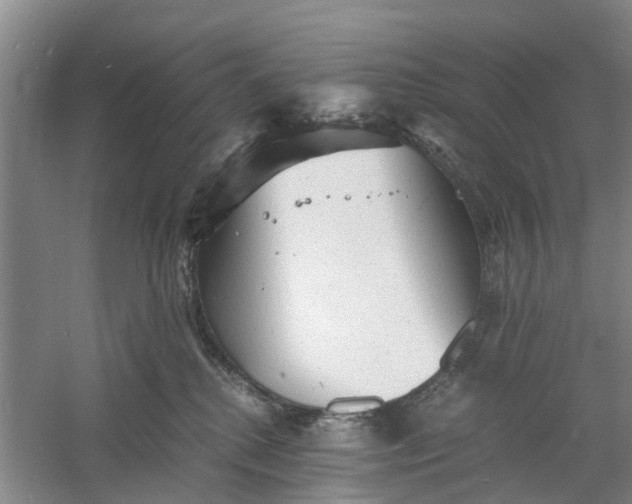 X0000060770280200512011620