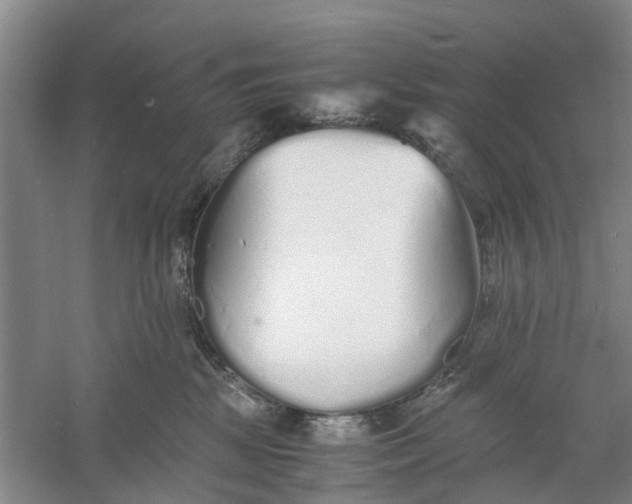 X0000060770281200512011620