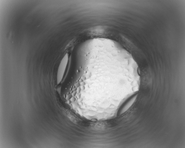 X0000060770282200512011620