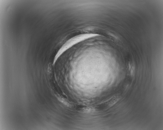 X0000060770284200512011620