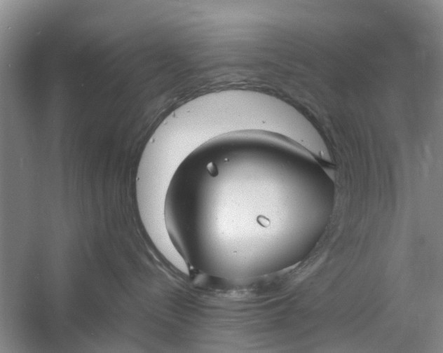 X0000060770288200512011620