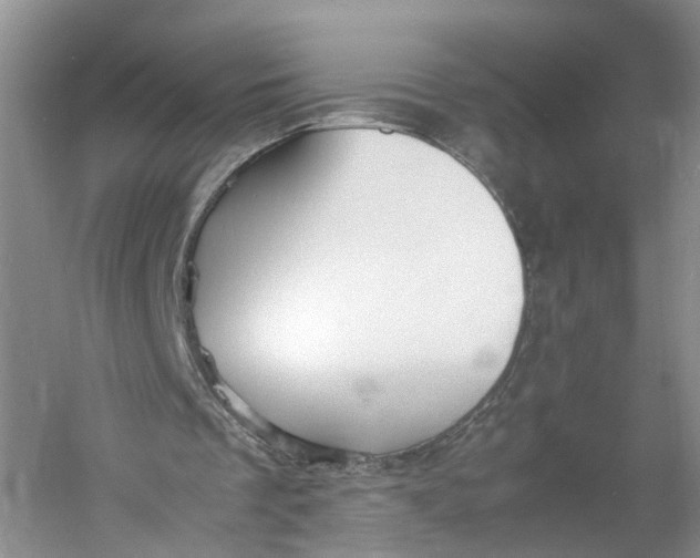 X0000060770289200512011619