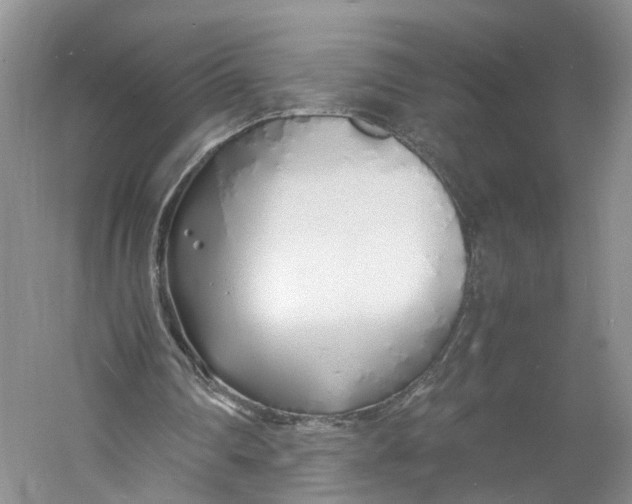 X0000060770290200512011619