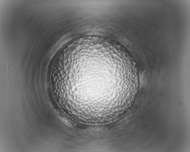 X0000060770291200512011619