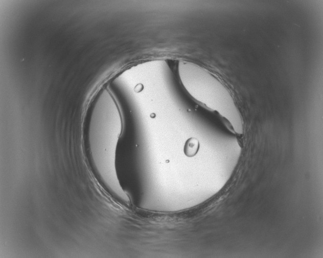 X0000060770293200512011619