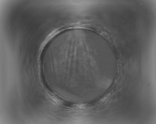 X0000060770295200512011619