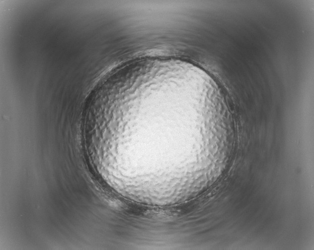 X0000060770297200512011619