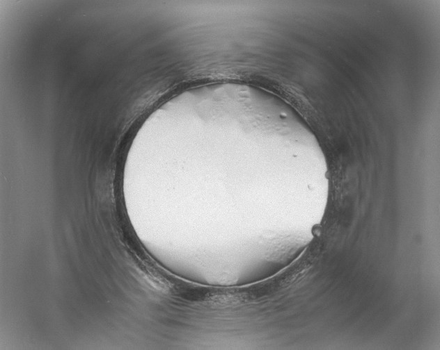 X0000060770299200512011619