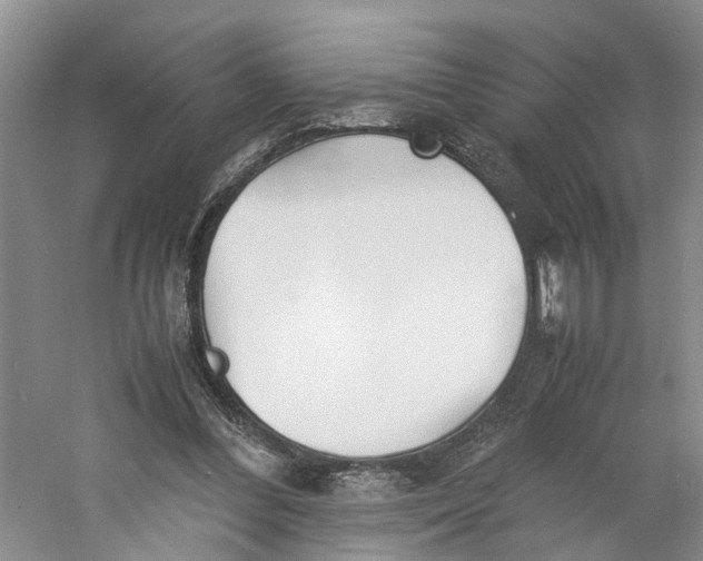 X0000060770300200512011619