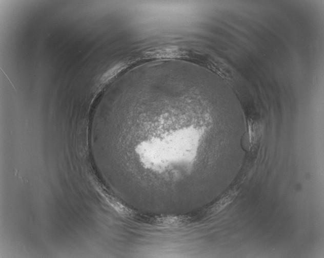 X0000060770301200512011619