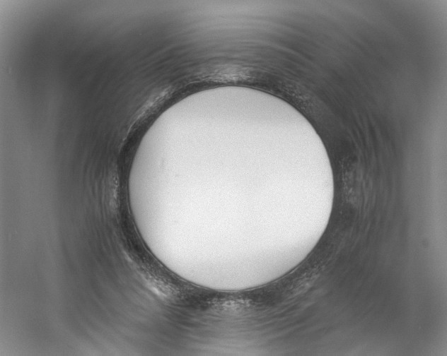 X0000060770304200512011619