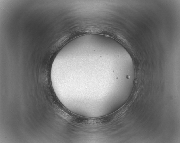 X0000060770305200512011619