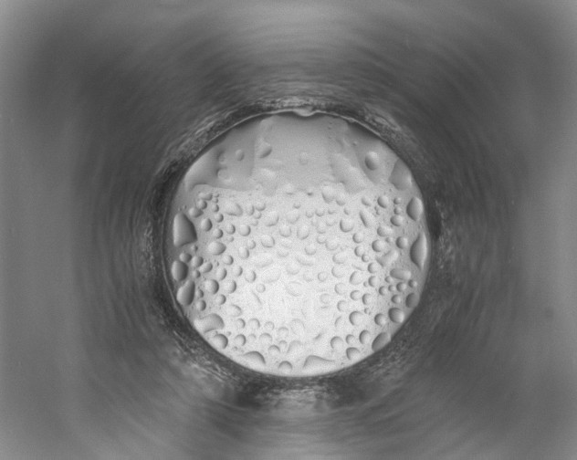 X0000060770306200512011619