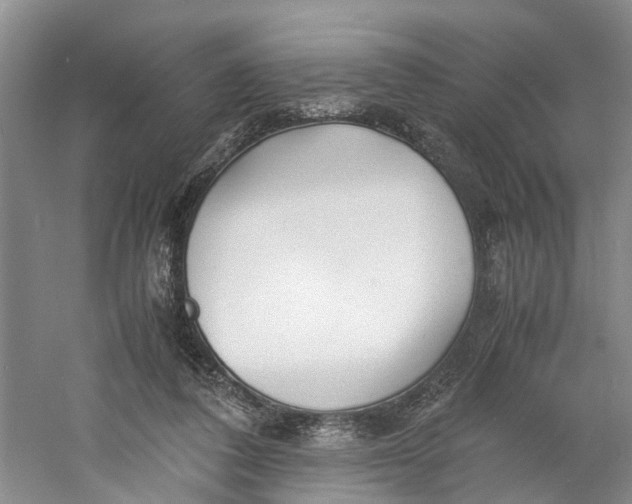 X0000060770308200512011619