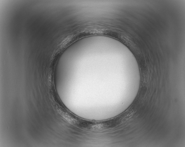 X0000060770309200512011619