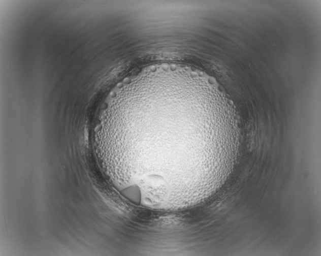 X0000060770310200512011619