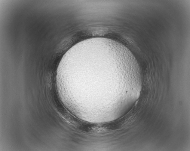 X0000060770311200512011619