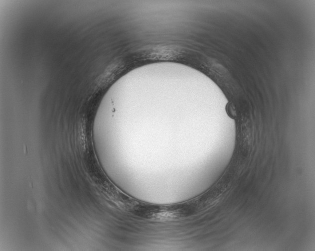 X0000060770312200512011619