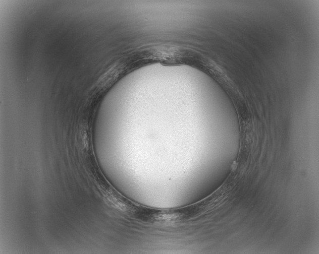 X0000060770313200512011619