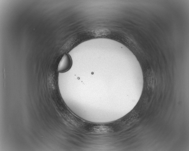 X0000060770316200512011619