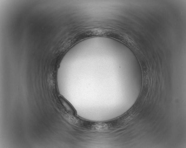 X0000060770317200512011619