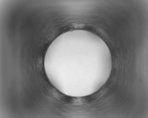 X0000060770321200512011619