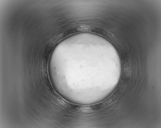 X0000060770322200512011619