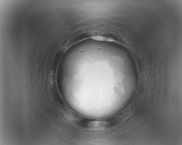 X0000060770323200512011619