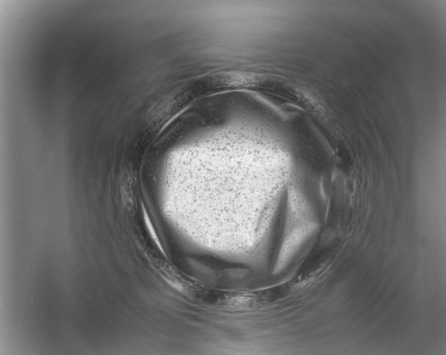 X0000060770325200512011619