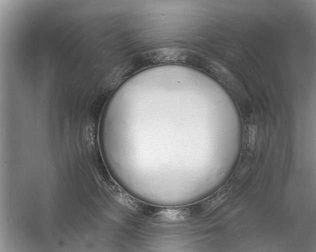 X0000060770326200512011619