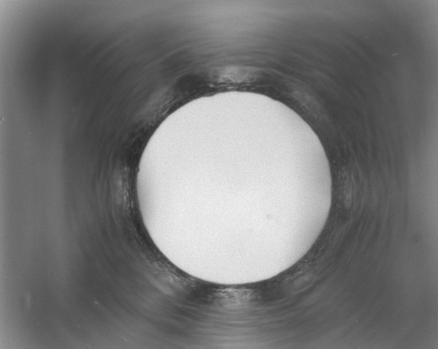 X0000060770328200512011618