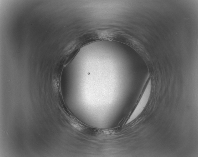 X0000060770329200512011618