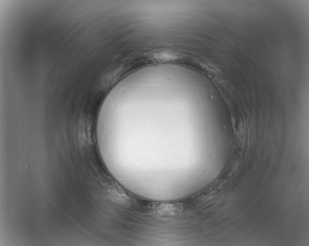 X0000060770330200512011618