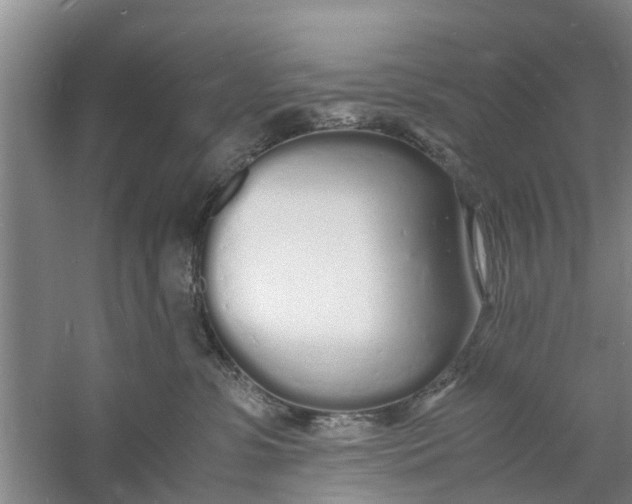 X0000060770331200512011618