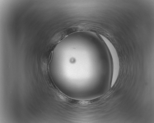 X0000060770333200512011618